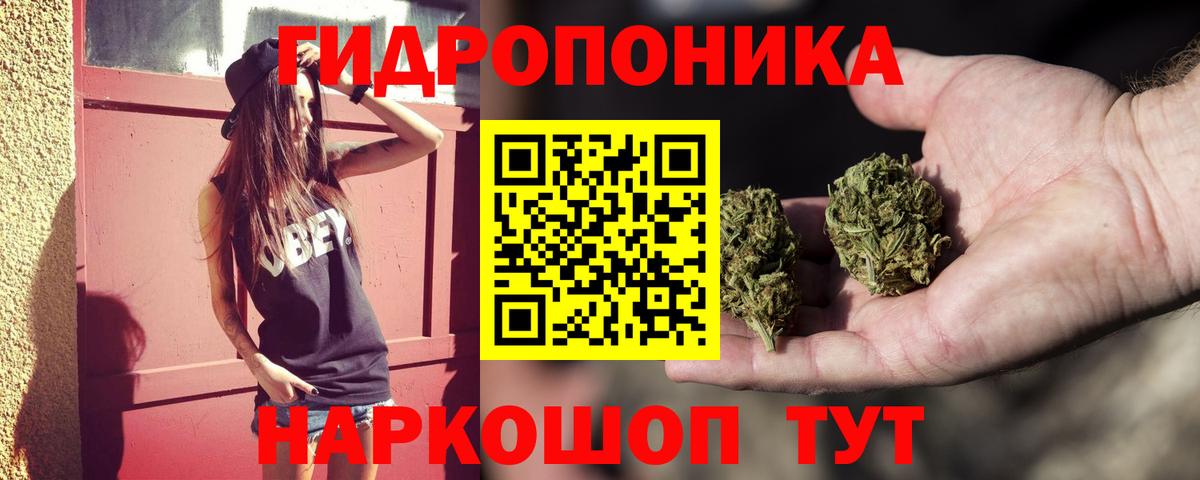 Бошки Шишки тримм  Вход с VPN  Шишки марихуана AK-47  Шишки марихуана Bruce Banner  Кимры  Канабис сатива 